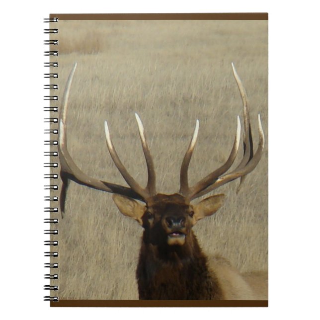 E29 Bull Elk Head Shot Anteckningsbok (Framsidan)