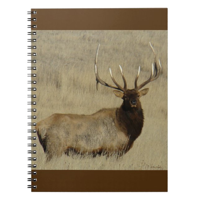 E30 Bull Elk Big Bull Anteckningsbok (Framsidan)
