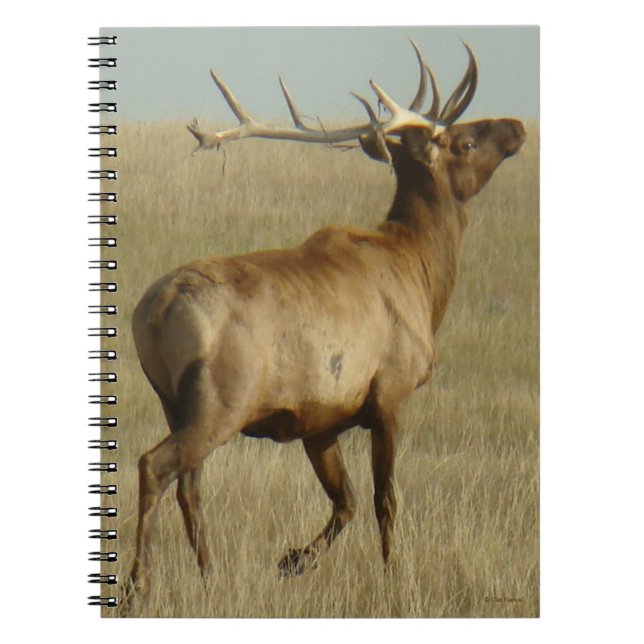 E35 Bull Elk Grass in Horns Anteckningsbok (Framsidan)