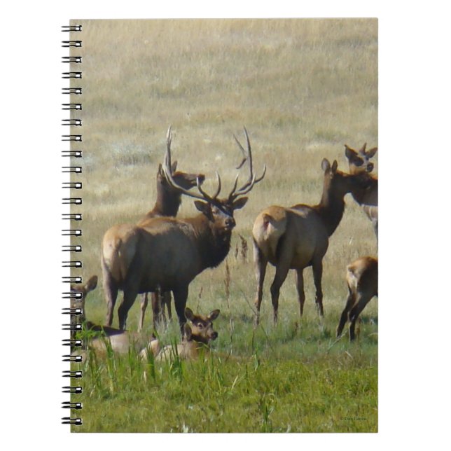 E36 Elk Herd vid vattenhål Anteckningsbok (Framsidan)