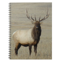 E46 Bull Elk Big Bull Anteckningsbok