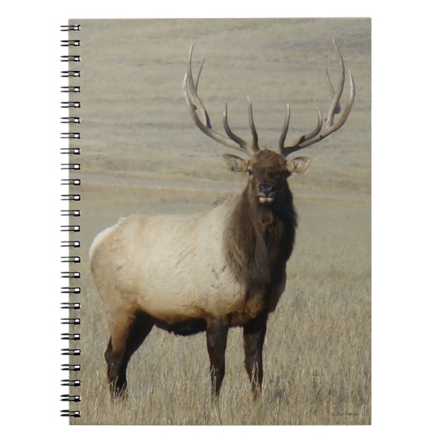 E46 Bull Elk Big Bull Anteckningsbok (Framsidan)