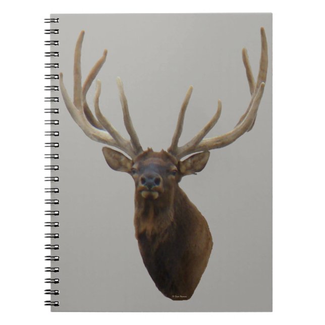 E48 Bull Elk Head i Velvet Anteckningsbok (Framsidan)