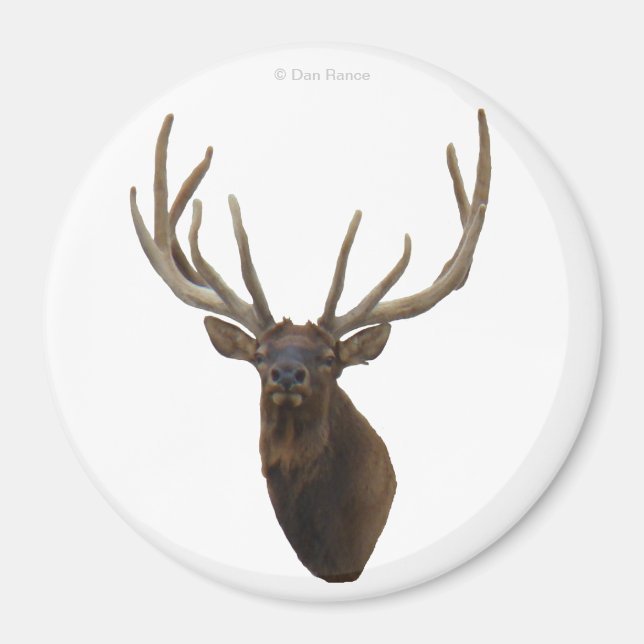 E48 Bull Elk Head i Velvet Magnet (Framsidan)