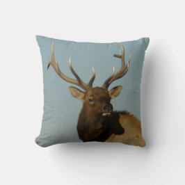 E49 Bull Elk Head and Shoulders Kudde
