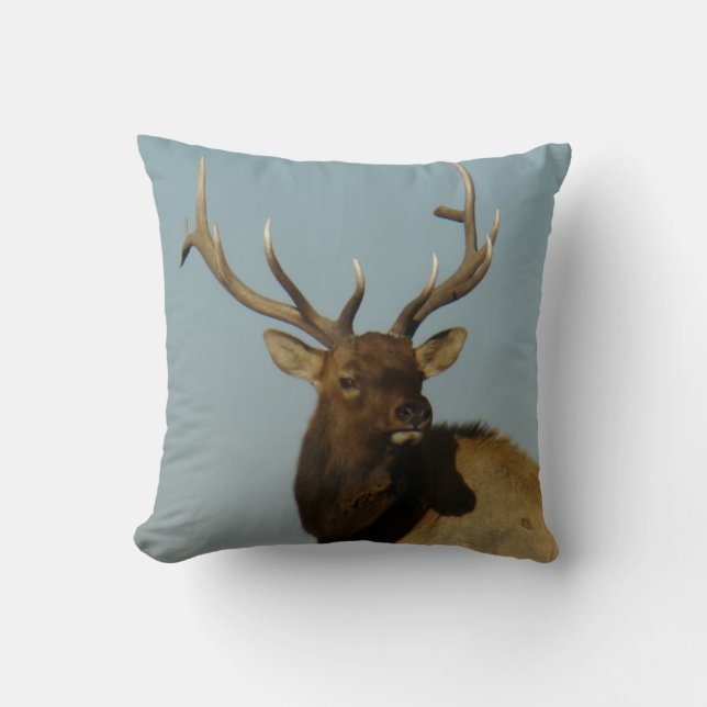 E49 Bull Elk Head and Shoulders Kudde (Framsida)