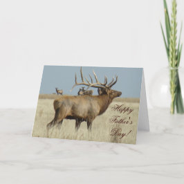 E4 Bull Elk Herd Chef Kort