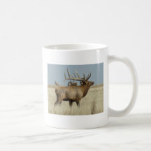 E4 Wapiti Hjortflock Master