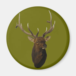 E51 Bull Elk Head Magnet