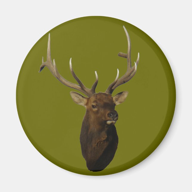 E51 Bull Elk Head Magnet (Framsidan)