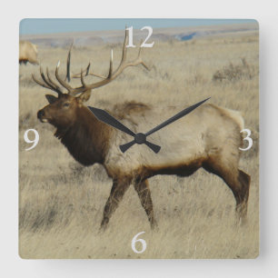 E55 Bull Elk Big Bull Fyrkantig Klocka