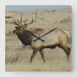 E55 Bull Elk Fyrkantig Klocka