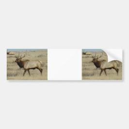 E55a Bull Elk Bildekal