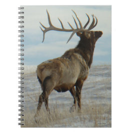 E58 Bull Elk Lucky 13 Anteckningsbok