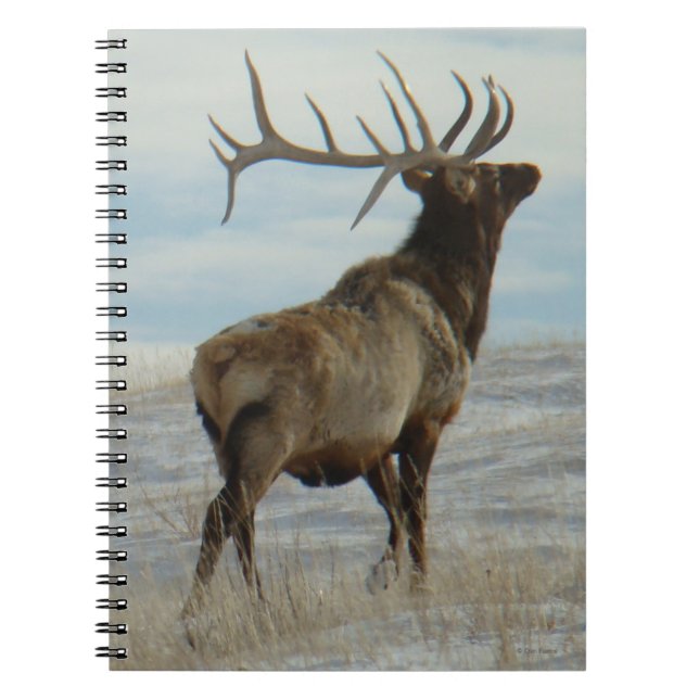 E58 Bull Elk Lucky 13 Anteckningsbok (Framsidan)