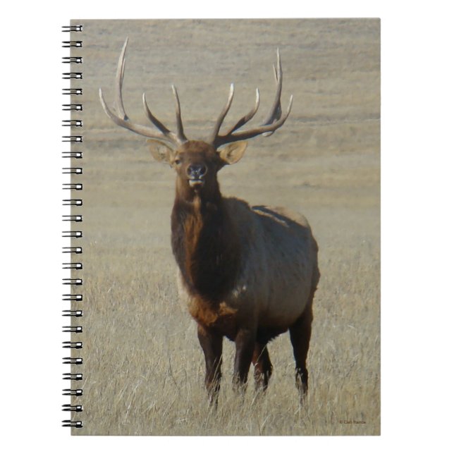 E59 Bull Elk Anteckningsbok (Framsidan)