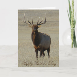 E59 Bull Elk Kort