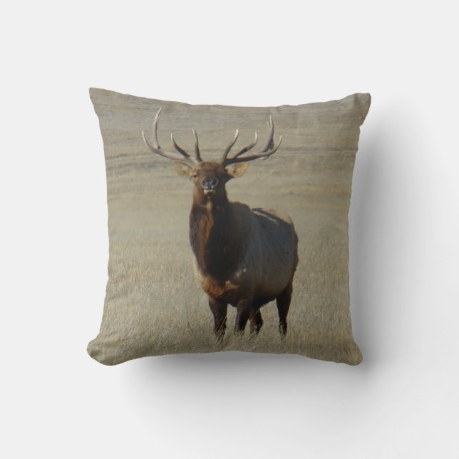 E59 Bull Elk Kudde (Framsida)