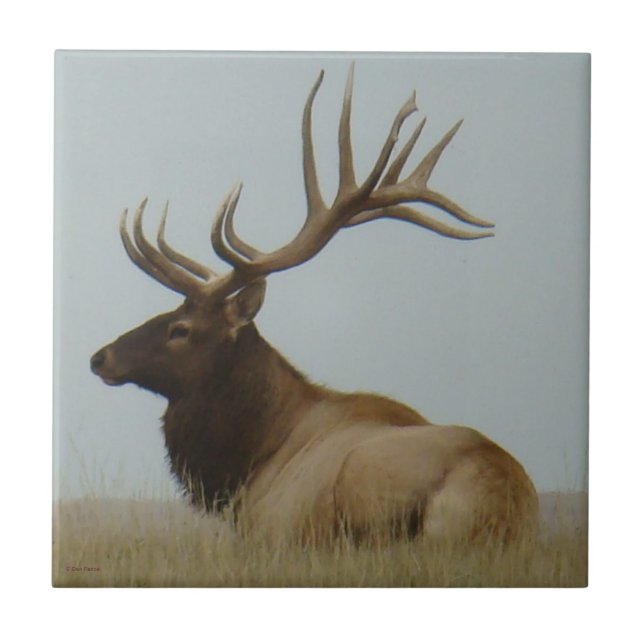E5 Bull Elk Huge Bull Kakelplatta (Framsidan)