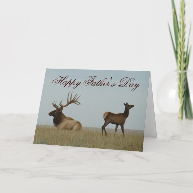 E5 Bull Elk och Yearling Kort (Framsida)
