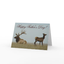 E5 Bull Elk och Yearling