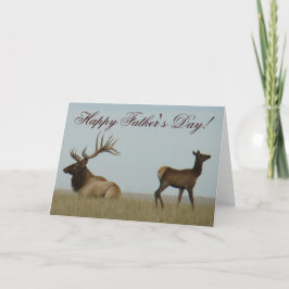 E5 Bull Elk och Yearling Kort