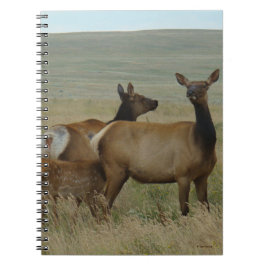 E61 Kow Elk och Calf Anteckningsbok