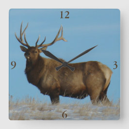 E62 Bull Elk Himlar Lining Fyrkantig Klocka