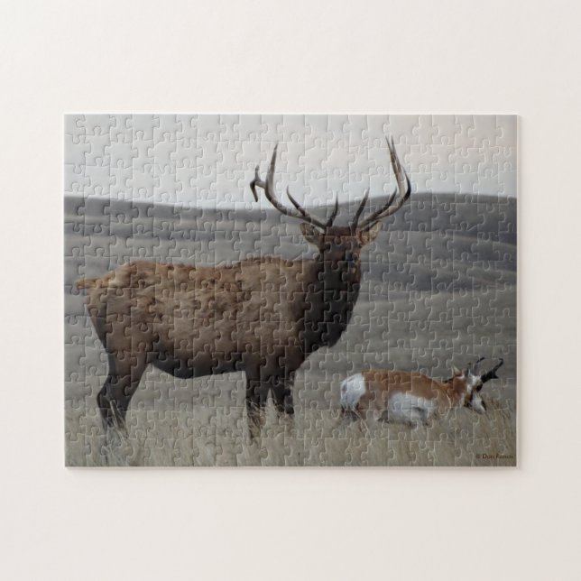 E63 Bull Elk och Pronghorn Antelope Pussel (Horisontell)