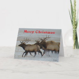 E64 Bull Elk Running Christmas Card Tack Kort