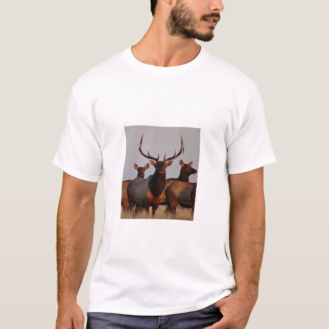 E66 Bull Elk and Cows T Shirt (Framsida)