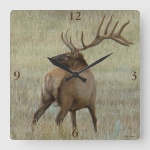 E6 Bull Elk i Velvet Fyrkantig Klocka