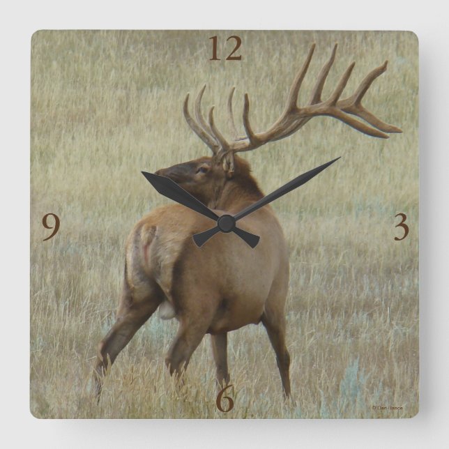 E6 Bull Elk i Velvet Fyrkantig Klocka (Framsida)