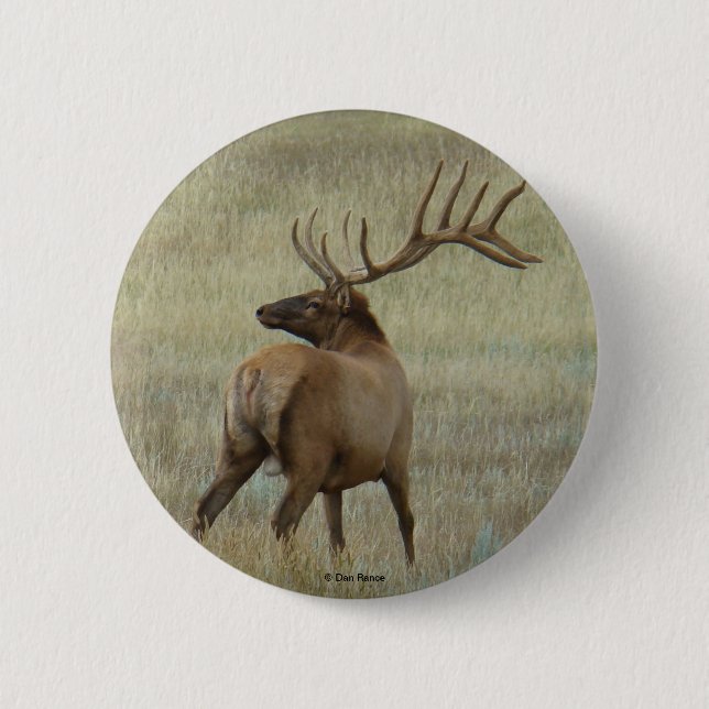 E6 Bull Elk in Velvet Knapp (Framsida)