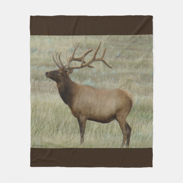E8 Bull Elk in Velvet Fleecefilt (Framsidan)