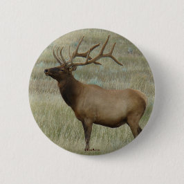 E8 Bull Elk in Velvet Knapp