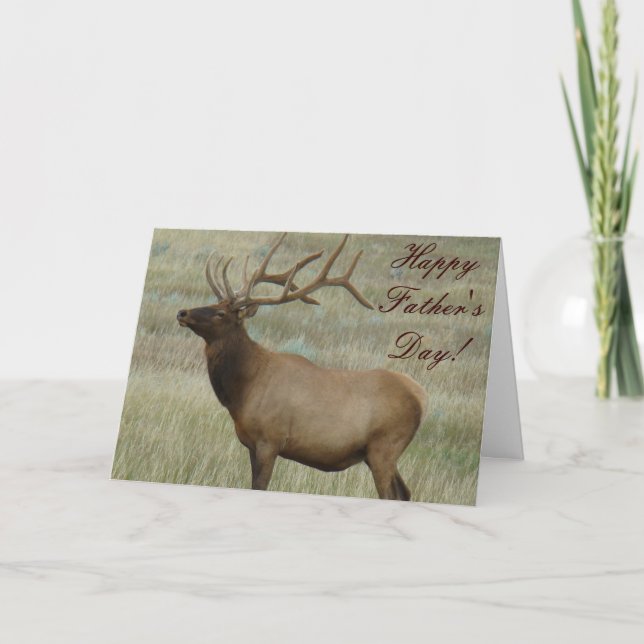 E8 Bull Elk in Velvet Kort (Framsida)