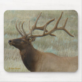 E9 Bull Elk in Velvet Head and Shoulders Musmatta