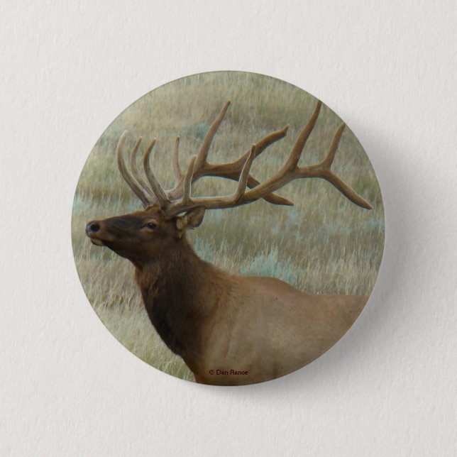 E9 Bull Elk in Velvet Knapp (Framsida)