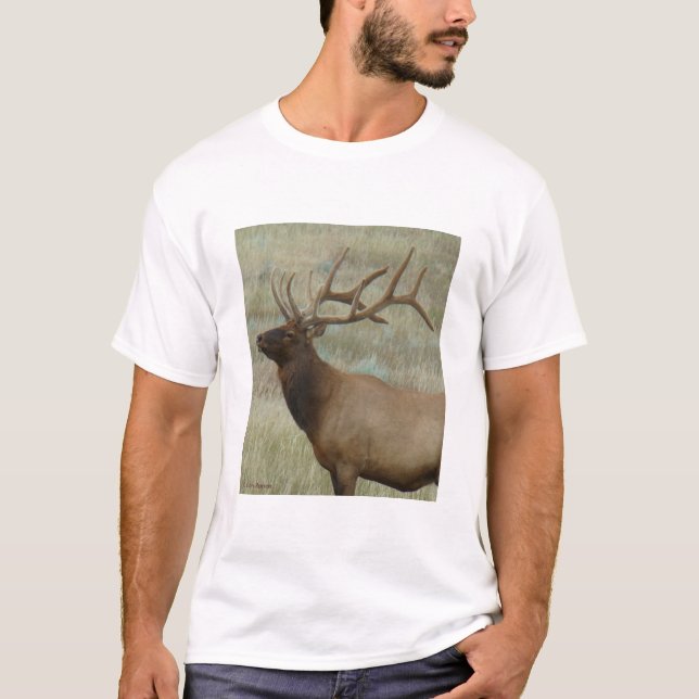 E9 Bull Elk in Velvet Tee Shirt (Framsida)