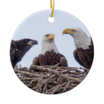 E9 & familjhelgdagprydnad