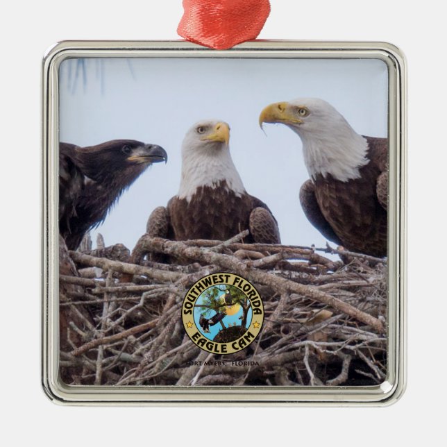 E9 & familjhelgdagprydnad julgransprydnad metall (Framsidan)