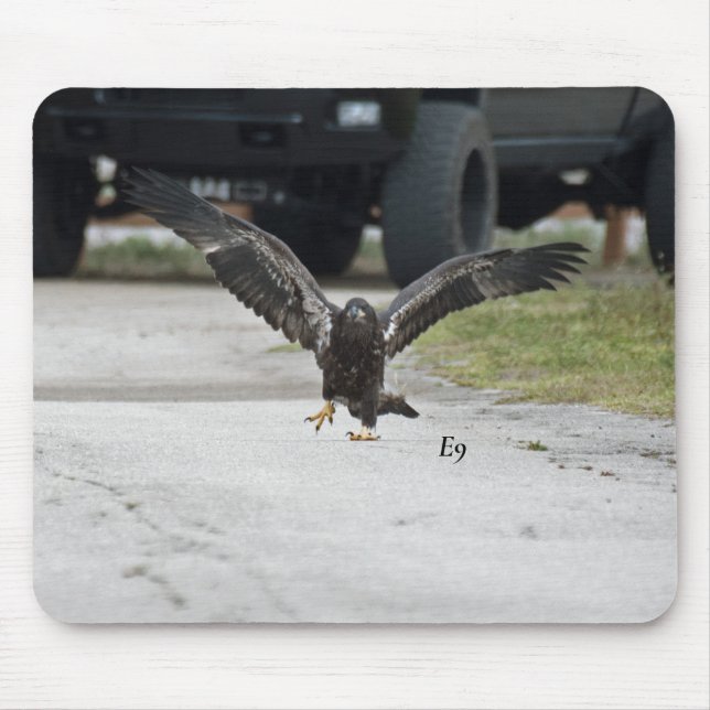 E9 som går något liknande en chef musmatta (Framsidan)