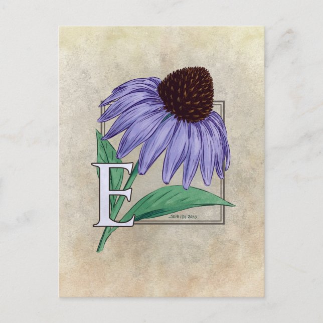 E för Echinacea Flower Monogram-kort Vykort (Framsida)