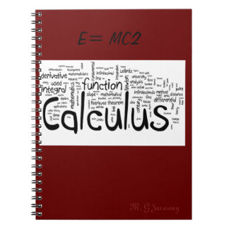 E=MC2 ANTECKNINGSBOK