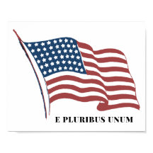 E Pluribus Unum Patriotic U.S. Flagga