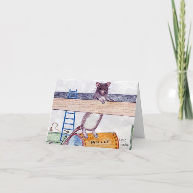 E-postbox Molly Note Card 3 Kort (Framsida)