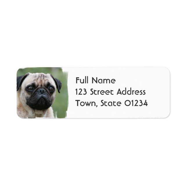 E-postetikett för Pug Puppy Hund Returadress Etikett (Framsidan)