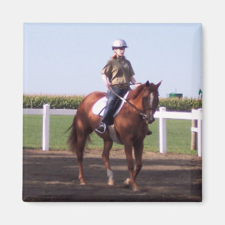 E-POSTMEDDELANDE UNDER DRESSAGE MAGNET