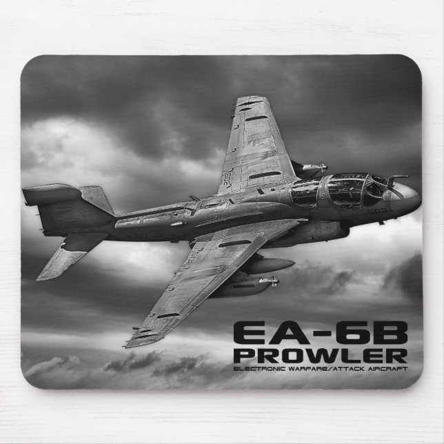 EA-6B Prowler Musmatta (Framsidan)